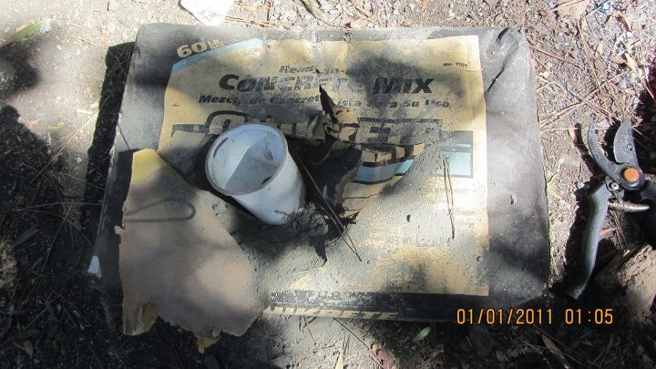 chip and dip flowers anyone , gardening