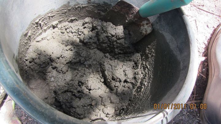 chip and dip flowers anyone , gardening