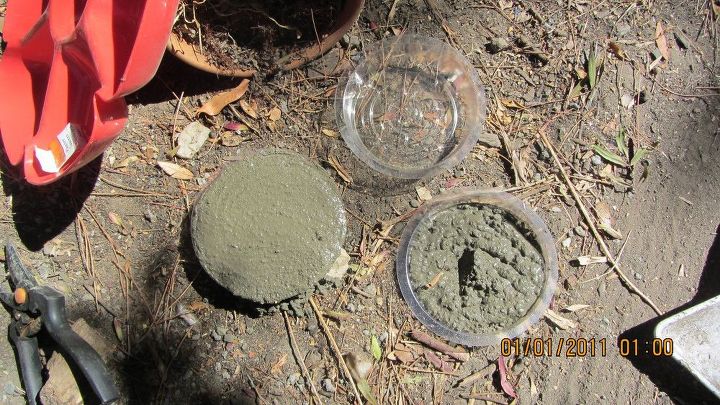 chip and dip flowers anyone , gardening