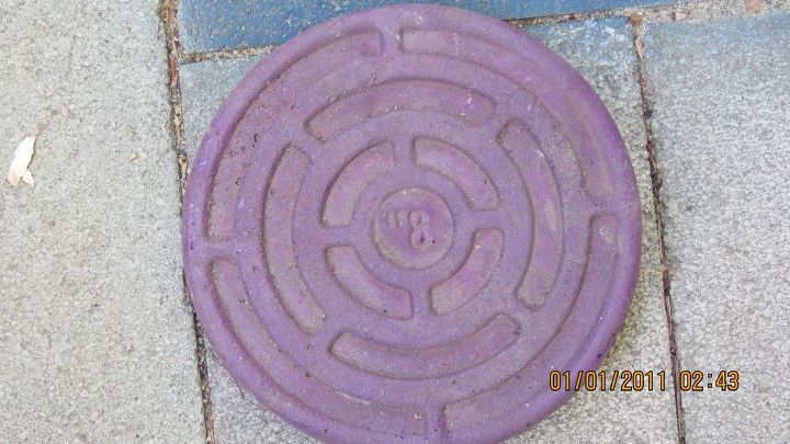 chip and dip flowers anyone , gardening