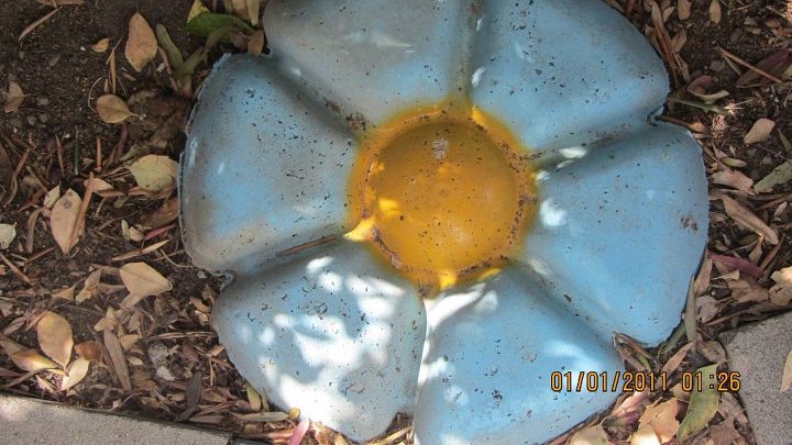 chip and dip flowers anyone , gardening