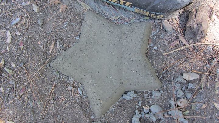 chip and dip flowers anyone , gardening