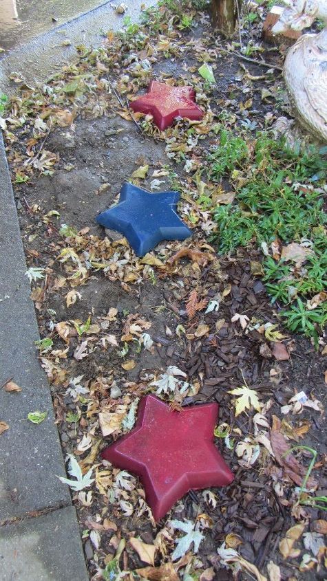 chip and dip flowers anyone , gardening