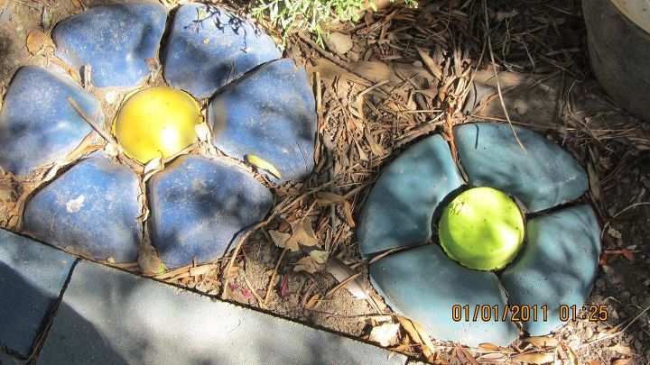 chip and dip flowers anyone , gardening