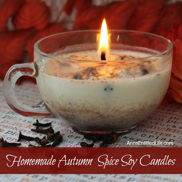 velas de soja com especiarias de outono caseiras