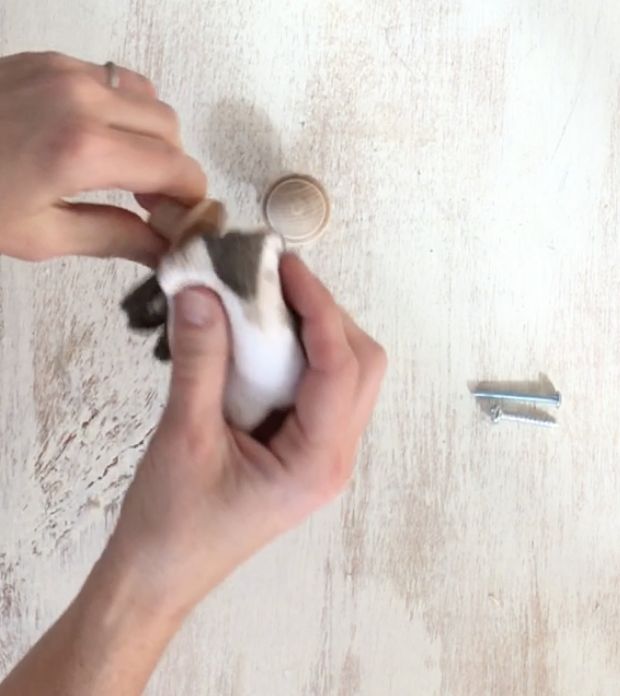 lanterns made from frames