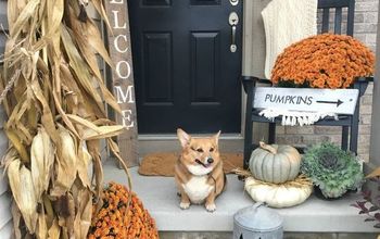 Pumpkins on the Porch!