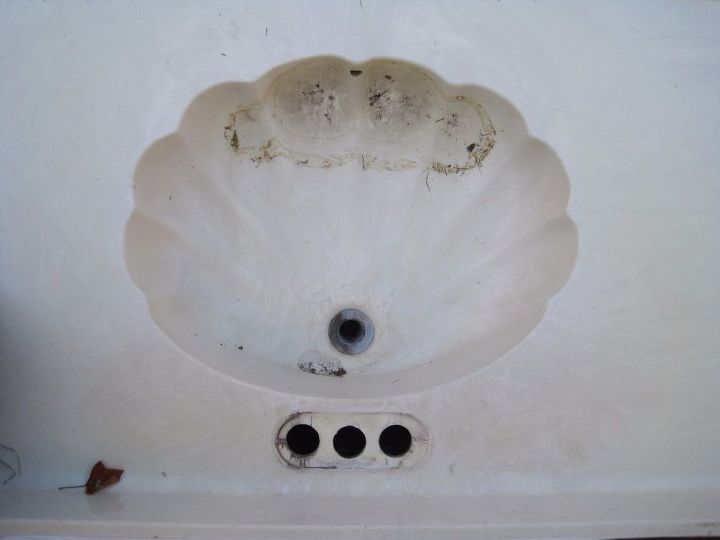 any ideas for a sea shell shaped bathroom sink vanity