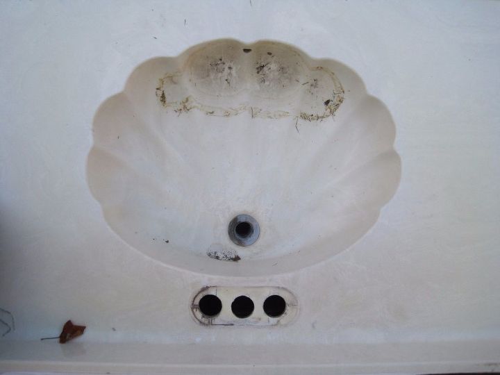 Seashell Bathroom Sink Bathroom Design Ideas