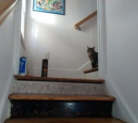 stair risers wallpaper border, My lovely assistant Pixie