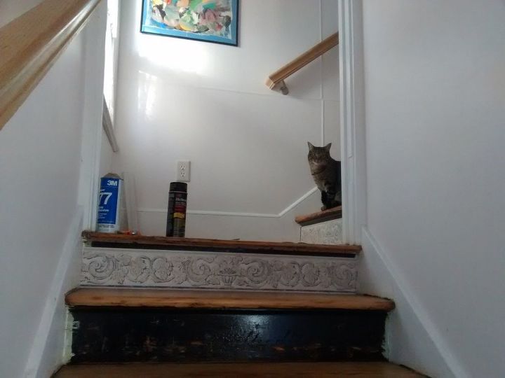 stair risers wallpaper border, My lovely assistant Pixie