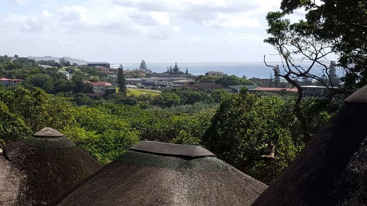 how to tile a patio wall in a morning, container gardening, home maintenance repairs, how to, outdoor living, patio, tiling