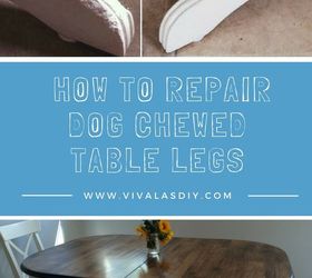 how to repair dog chewed table legs, home maintenance repairs, how to, kitchen design, painted furniture, woodworking projects