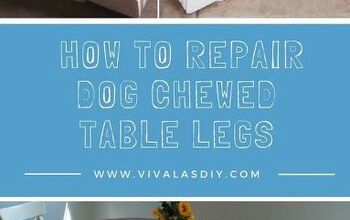  Como consertar pernas de mesa mordidas por cachorro