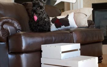 Little Doggy Stairs