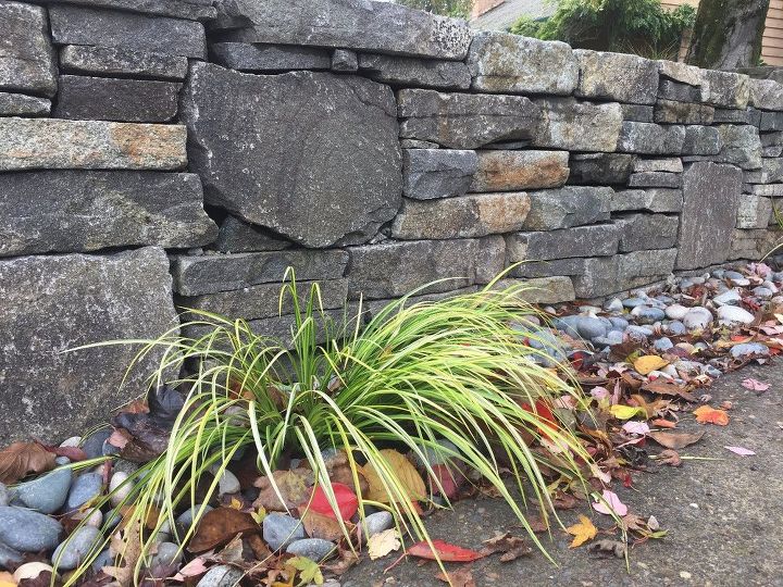 jardim de influncia asitica em oregon, muro de pedra e junco