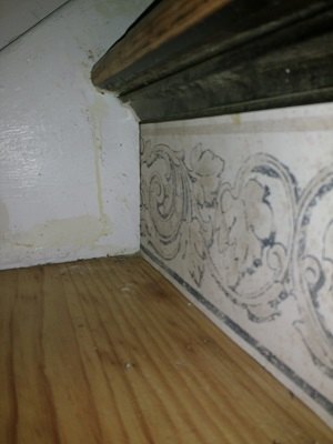 stair risers wallpaper border, Close up skirt board tread paper interface