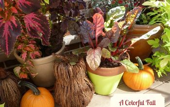  Transforme seu jardim de contêineres para o outono!
