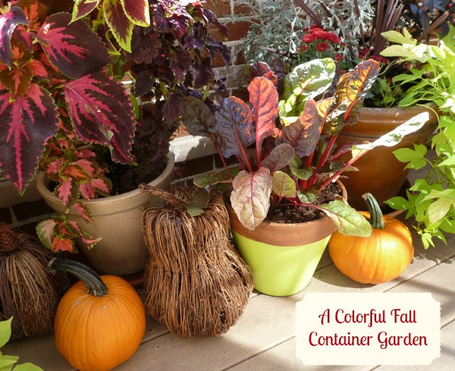 transform your container garden for fall , container gardening, gardening