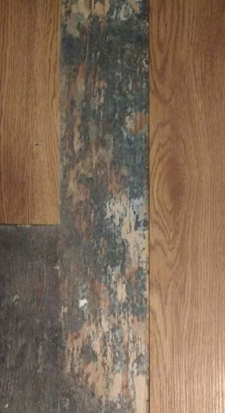 q removing glue from floor from vinyl plank flooring, flooring, house cleaning