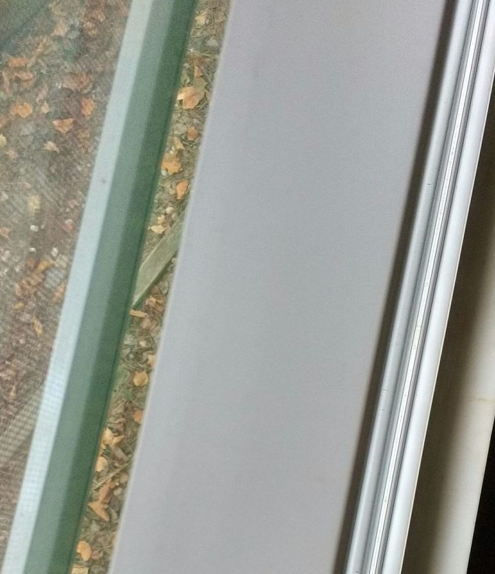 what to do about this window, Another view of the space the brownish part on the left is where the screen is but then the smaller brownish leaves on the ground is where the screen does NOT keep the outside outside