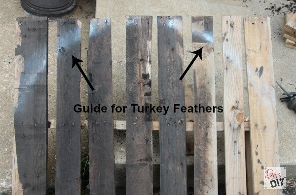 make your own pallet turkey tom, pallet, seasonal holiday decor