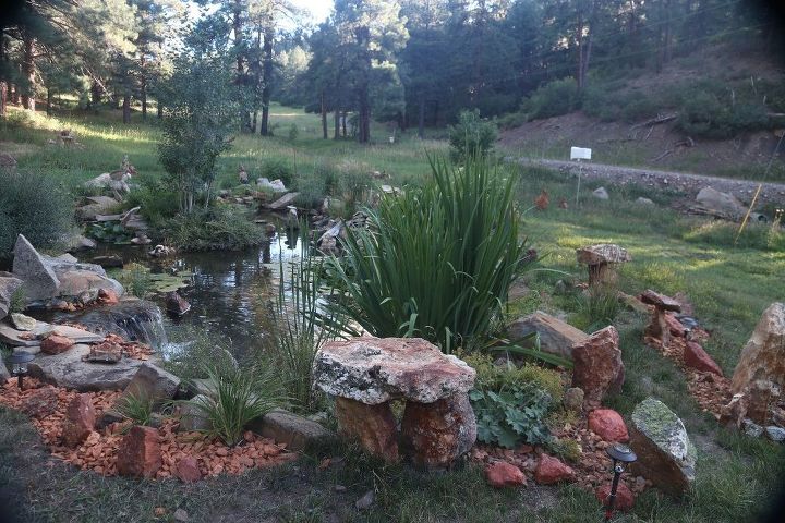the joys of natural pond maintainance, ponds water features