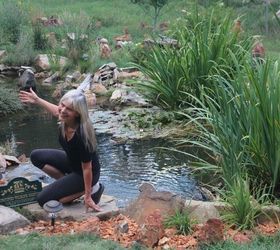 the joys of natural pond maintainance, ponds water features