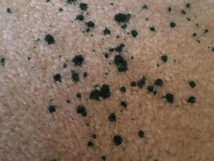 q how can i remove clean up candle wax from carpet , cleaning tips, fabric cleaning, reupholster