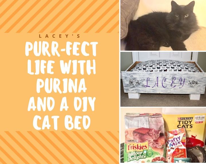 turn an old drawer into a diy pet bed, bedroom ideas, cleaning tips, repurposing upcycling