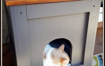  Como fazer uma casinha/mesa para gatos