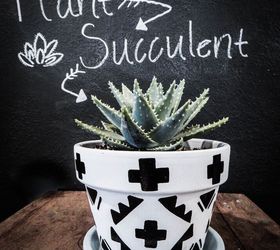 diy aztec print succulent pots, flowers, gardening, succulents