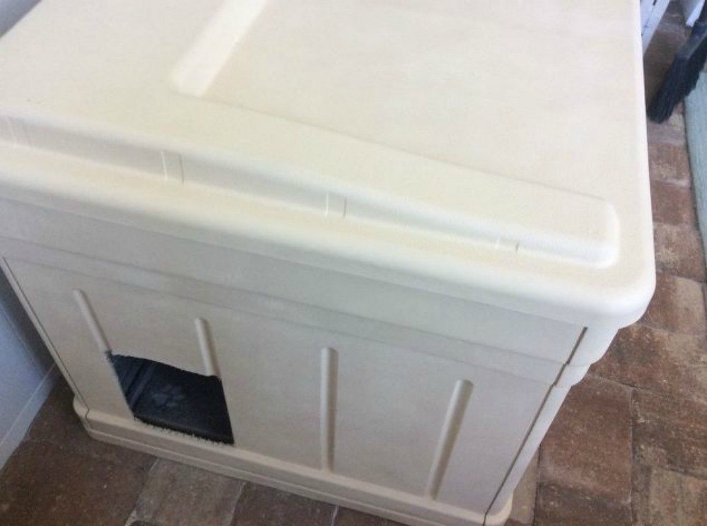 how tile hole in cut a to Box Plain Ways Cat 12 Hide Litter in Owners: Sight how tile hole in cut a to Box Plain Ways Cat 12 Hide Litter in Owners: Sight