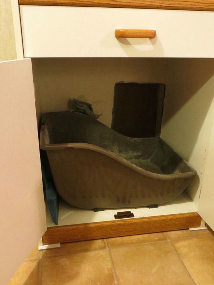Dating site for cat owners