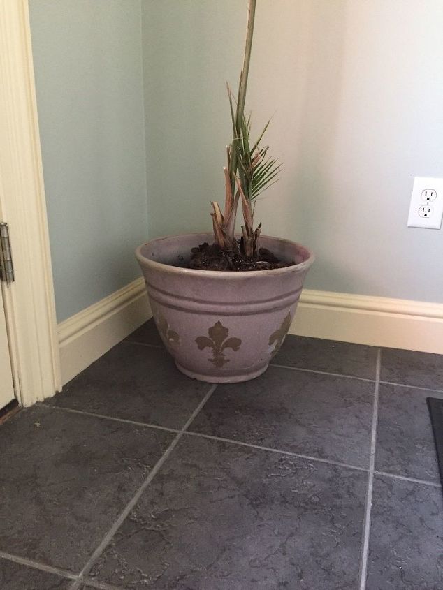 update old plant pot with stencils, gardening