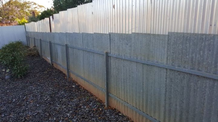 how can i cover up my side fence, My boundary side fence showing my side and the sheet metal my neighbor attached to his sidr so that he didn t have to pay half the cost to replace it