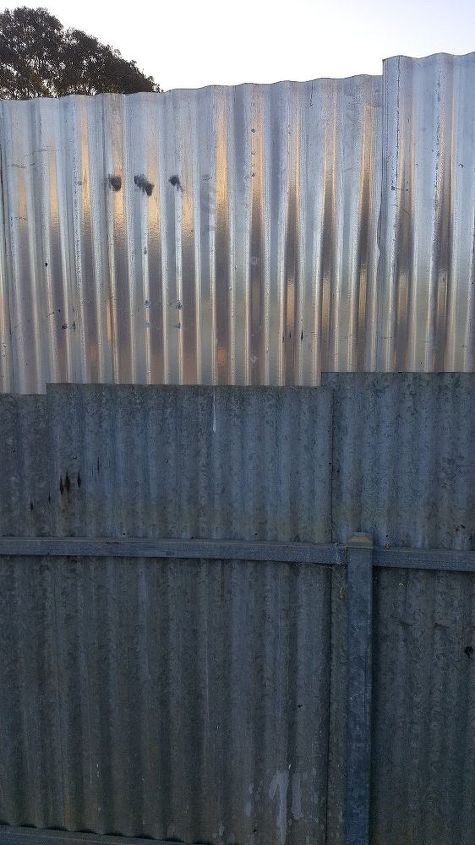 how can i cover up my side fence, Up close look