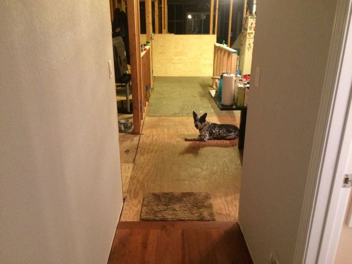 kitchen renovation with an 8 foot ceiling, We have hickory floors that will come up to a tile floor that we will pick Not sure what type of kitchen floor yet