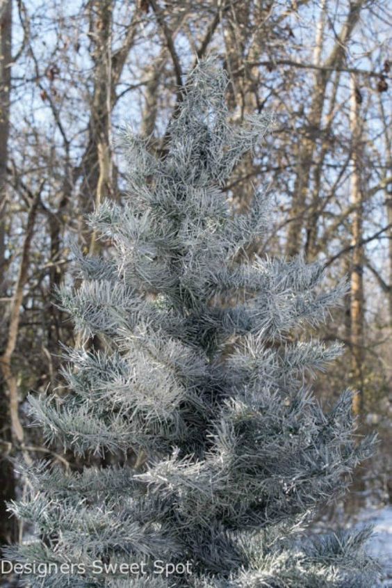 s let it snow with these 12 winter decorating ideas, Spray paint your tree with white paint