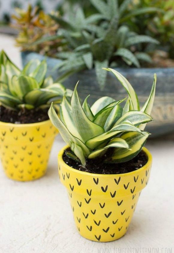 transform your cheap planters with these 15 stunning ideas, Turn it into a pineapple with paint