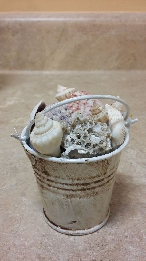 balde de conchas
