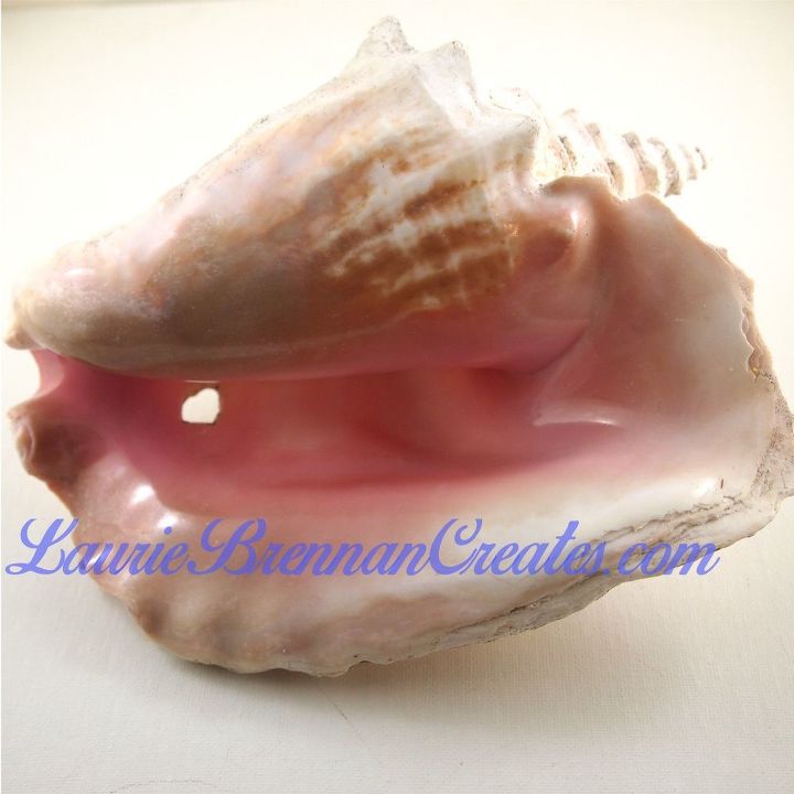 beachy elegance with unicorn spit gel stain, Conch Shell Before