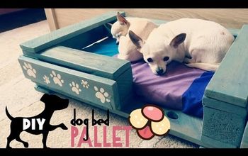 Cama para mascotas a partir de un palé - VÍDEO