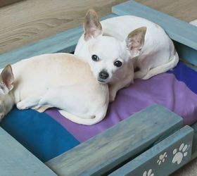 Pet Bed From Pallet - VIDEO
