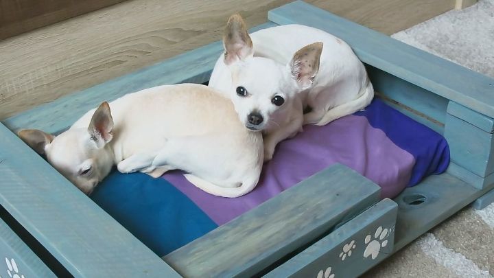 pet bed from pallet video