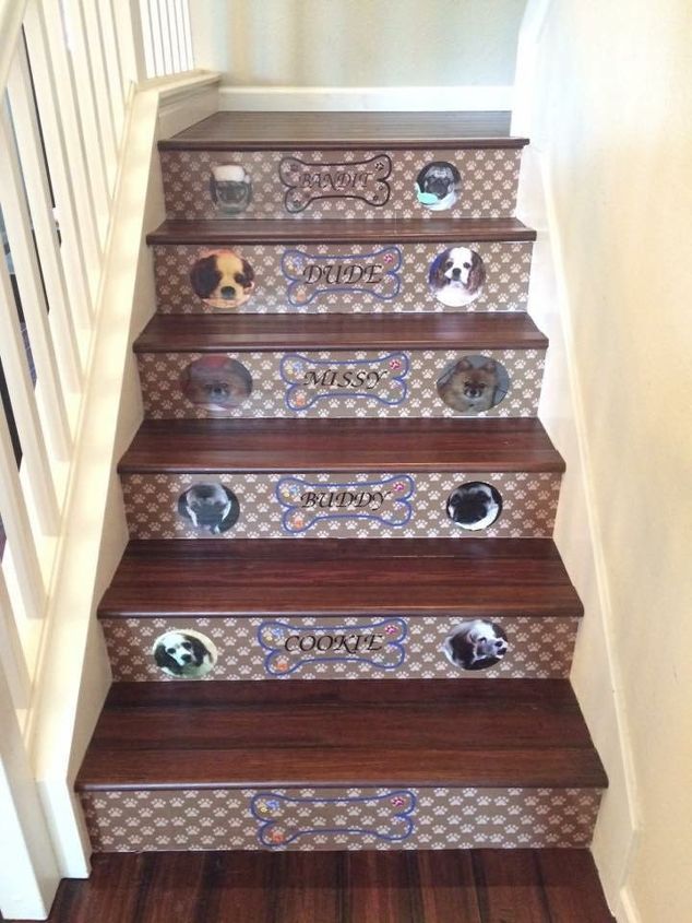 escaleras para mascotas