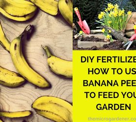 diy fertilisers how to feed your garden with banana peels, how to