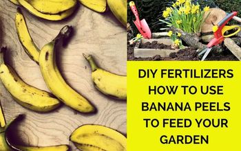  Fertilizantes DIY: Como alimentar seu jardim com cascas de banana