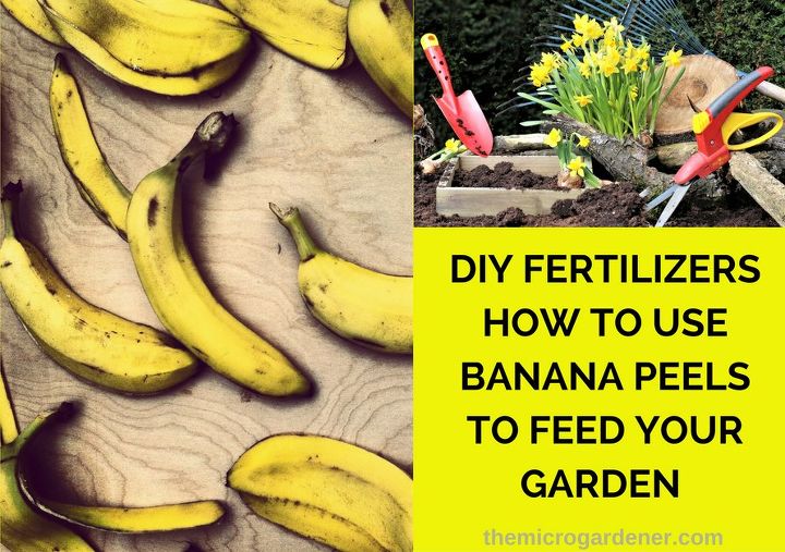 fertilizantes diy como alimentar seu jardim com cascas de banana