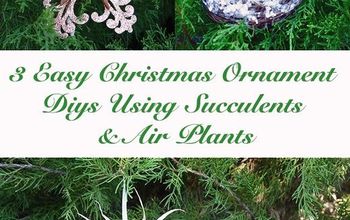  3 decorações de Natal fáceis com suculentas e plantas aéreas